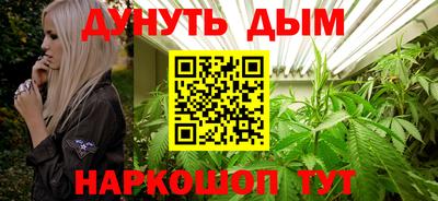 мдпв Дмитров