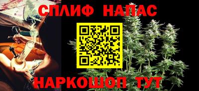 МДПВ Долгопрудный