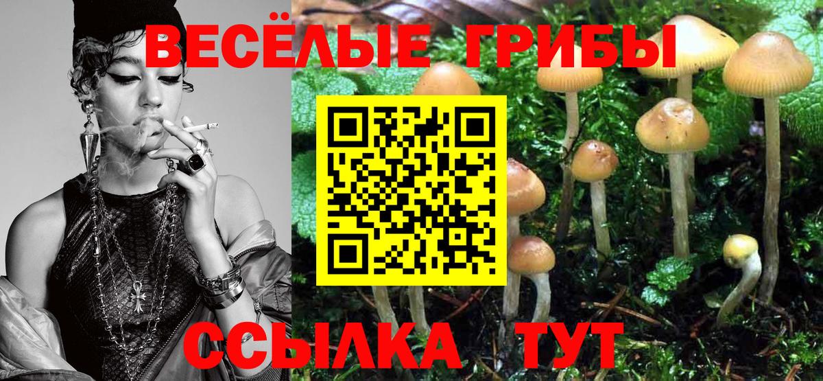 Борзя  Псилоцибиновые грибы GOLDEN TEACHER  Галлюциногенные грибы ЛСД  магазин  наркотиков  Вход с VPN 
